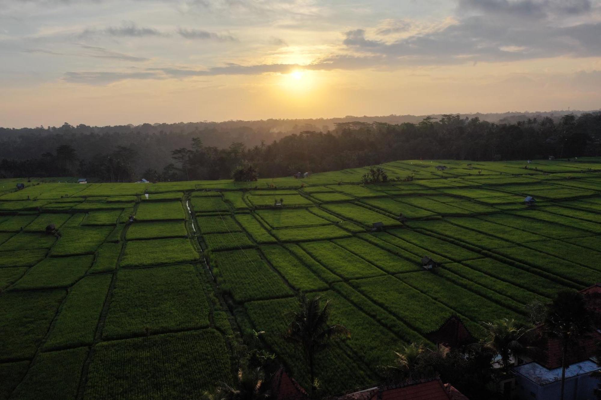 Umah Sunset Ubud Exterior foto